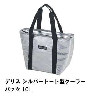 保冷バッグ 10L 小型 トート型 クーラーバッグ 幅39 奥行16 高さ24.5 コンパクト 収納 便利 おしゃれ アウトドア キャンプ 保存