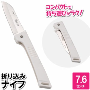 折りたたみ ナイフ ミニ アウトドア ソロキャンプ ピクニック レジャー 2.5×20.6×1.3cm ステンレス ハンドル 日本製 国産