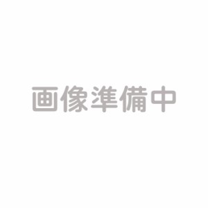 スタンドミラー 三面 鏡 全身鏡 姿見 幅50~100 高さ160 飛散防止 折りたたみ 扉付き 木枠 ドレッサー ナチュラル