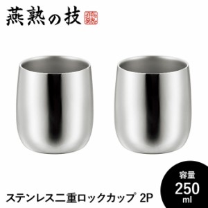 ロックグラス 250ml 2個セット ステンレス製 タンブラー 保温 保冷 二重構造 おしゃれ 18-8ステンレス 日本製 新潟県燕市 ギフト