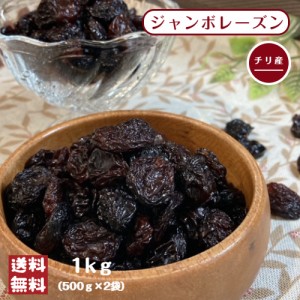 ジャンボ レーズン 1kg (500g×2袋) メール便 送料無料 砂糖不使用 大粒 葡萄 ブドウ ぶどう グラノーラ 製菓 製パン フレーム種