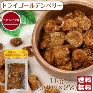 ドライ ゴールデンベリー 1kg (500g×2袋) メール便 送料無料 フルーツ インカベリー 食用ほおずき 無添加 砂糖不使用 グラノーラ 製菓