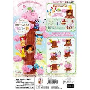 リーメント ポケモンの通販 Au Pay マーケット