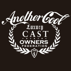  カッティングステッカー ダイハツ（DAIHATSU）CAST キャスト anothercool 車 カー ステッカー  アクセサリー シール ガラス [◆]