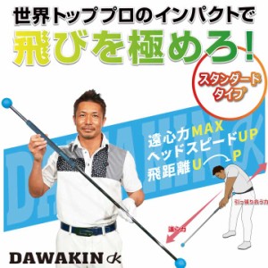 Lynx リンクス ゴルフ ダワ筋スティック スタンダードタイプ ターコイズ×グレー スイング練習器 スタンダード DAWAKIN STICK STANDARD