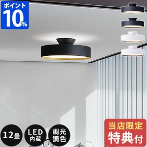 【特典付】シーリングライト 12畳 アートワークスタジオ グロー 5000 LEDシーリングランプ Glow 5000 LED-ceiling lamp AW-0556E 照明