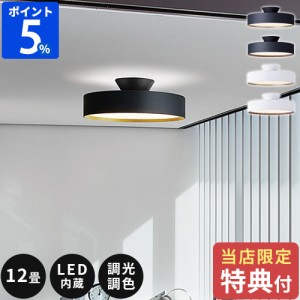 【特典付】シーリングライト 12畳 アートワークスタジオ グロー 5000 LEDシーリングランプ Glow 5000 LED-ceiling lamp AW-0556E 照明