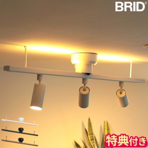 【特典付】ライティングレール 照明 BRID ライティング ダクトレール with LED 003363 照明用ダクトレール リモコン付 上部ライト 調色