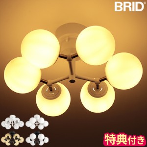 【特典付】LED照明 おしゃれ BRID タイニー ガラス シーリングライト 6灯 003366 TINY GLASS CEILING LIGHT 天井照明 照明器具 シンプル