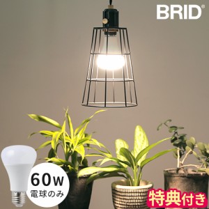 【特典付】LED電球 60w BRID プランツライト 60 PLANTS LIGHT40 WARM COOL 003380 003382 E26 60W相当 LEDライト 植物用ライト 観葉植物