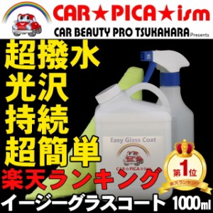 ★送料無料★ イージーグラスコート 1000ml ガラスコーティング剤 簡単 超撥水 大容量30回分 業務用 ワックス 車 コーティング メンテナ