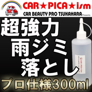 ステイン＆スケールクリーナー 300ml（酸性） ボディのウロコ ウォータースポット シリカスケール を一発除去 超強力 業務用 洗車