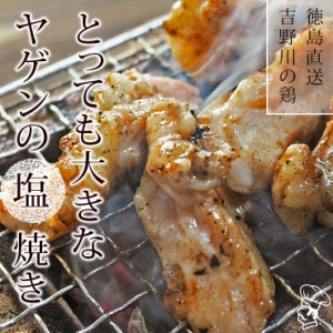 焼き鳥 国産 ヤゲン(むね軟骨) 塩 150g 特選 吉野川鶏 BBQ バーベキュー 焼鳥 惣菜 おつまみ 家飲み 肉 ギフト 生 チルド