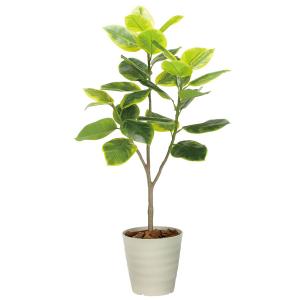 光触媒 人工観葉植物 フェイクグリーン ウッドボックスアルテシマ2.1