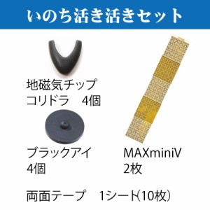 いのち活き活きセット　(丸山修寛先生開発、電磁波対策&地磁気補給グッズセット)