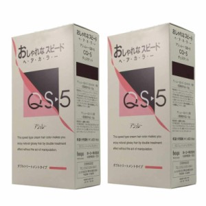 hoyu　ホーユープロフェッショナル　アシュレー QS-5　CQ-5 チェスナット　(1剤/50g、2剤/50g)×2点セット