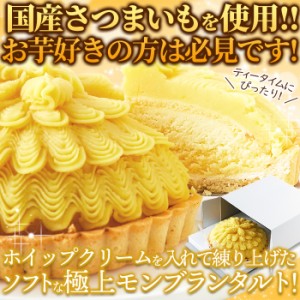 送料無料 ギフト モンブランタルト 5号 お買い得 スイートポテト さつまいも ホールケーキ 冷凍 プレゼント 洋生菓子 モンブラン バレン