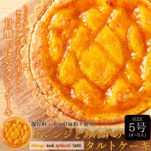 送料無料 タルトケーキ 5号 オレンジとあんずのタルトケーキ ケーキ  洋菓子 デザート おやつ ギフト ケーキ バレンタイン 内祝 誕生日 