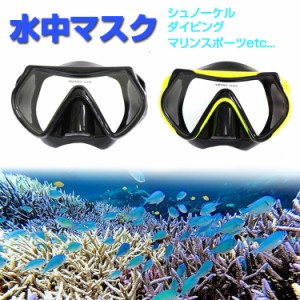 シュノーケルマスク 水中メガネ 一眼レンズ 視界クリア 強化ガラス スイミング スノーケル スキューバダイビング DVMM161