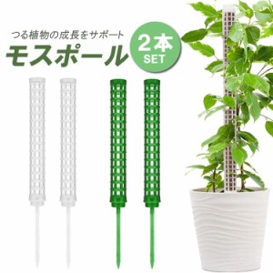 モスポール 支柱 2本セット 連結可能 観葉植物 モンステラ つる植物 着生植物 園芸支柱 グリーン ホワイト Z25C02S