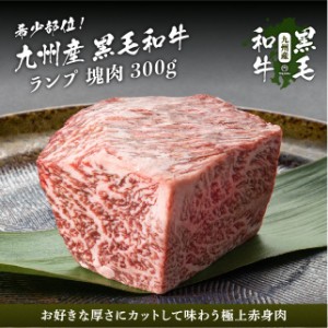 九州産黒毛和牛 ランプ 塊肉 ブロック 300g ステーキ 焼肉