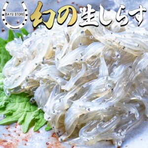 生しらす 兵庫県産 朝獲れ生しらす 300g (100g×3) 生で食べられる 生食用 お刺身 国産 しらす 小分け 新鮮抜群 無添加 無着色