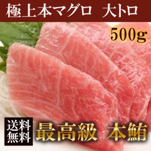 極上本マグロ 大トロ 500g 柵 塊【大阪市中央卸売市場 直送】 刺身 鮮度抜群 品質保証 まぐろ マグロ 大トロ 冷凍食品 ギフト お歳暮 お