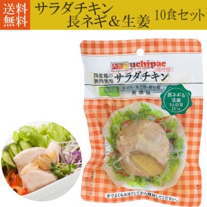 サラダチキン  ダイエットに非常食に 長ネギ ＆ 生姜味 10食セット 国産鶏の胸肉使用 無添加 高たんぱく質 送料無料 一人暮らし おかず 