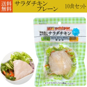 サラダチキン プレーン ダイエットに非常食に お得な10個セット  国産鶏の胸肉使用 無添加 高たんぱく質 送料無料