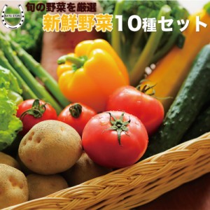 野菜詰め合わせ 野菜 セット 10種お任せ 選別済 一人暮らし 仕送り 常備菜 京野菜 泉州野菜 など おかず 野菜 詰め合わせ 野菜セット