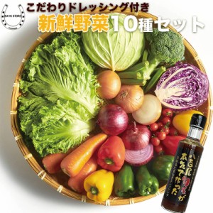 【 ドレッシング付き 】 目利きのプロが仕入れた野菜たっぷりセット 10種 お任せ 一人暮らし 仕送りにもおすすめ 常備菜 京野菜 泉州野菜