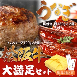 松阪牛ハンバーグ ＆ 国産 うなぎ 160-180g×2尾 【大満足セット】 通常購入より お得 お中元 父の日 お歳暮  国産 冷凍