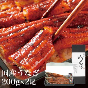 愛知県産 うなぎ蒲焼き 大サイズ (200g×2尾) 専門店仕入れ タレ付 お中元 丑の日 鰻 御中元 