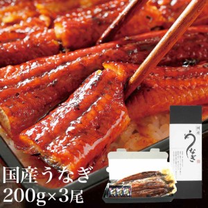 うなぎ蒲焼き (特大200g×3尾) 愛知県三河一色産 タレ付 備長炭 お中元 父の日 丑の日 鰻 