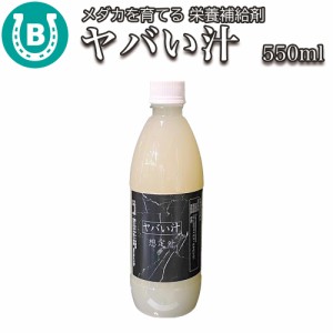 ヤバい汁 550ml メダカ 乳酸菌ウォーター【華めだか大阪×メダカフレンド】 農林水産省届け済 メダカを育てる 栄養補給剤 (乳酸菌 酵母菌