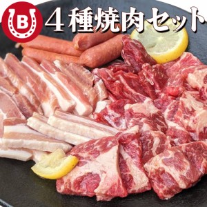 焼肉 BBQ セット 4種盛り 1kg 約4人前 牛ハラミ 牛カルビ 豚カルビ ソーセージ 焼き肉 バーベキュー キャンプ お肉 詰め合わせ