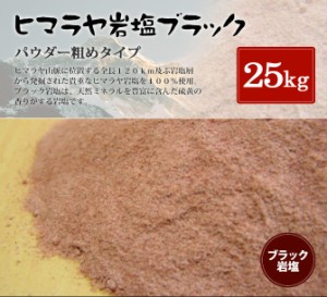 送料無料 食用ブラック岩塩パウダー（粗め） 25kｇ