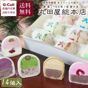 丸田屋総本店 生クリーム大福 14個 北海道・四国/九州・沖縄送料別 生クリーム SOYクリーム 大豆クリーム 十勝 生クリーム 餡 あんこ 手