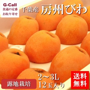 千葉産 房州びわ 露地物 2〜3L 12玉 送料無料 ビワ びわ フルーツ くだもの 果物 ギフト 枇杷 贈答 大玉 旬の果物 みずみずしい ギフト 