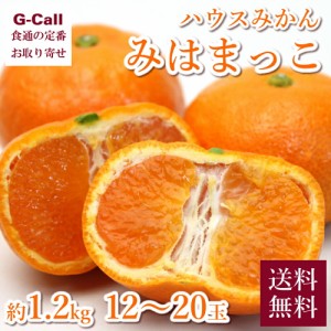 愛知県産 ハウスみかん みはまっこ 約1.2kg 12〜20玉前後 送料無料 果物 フルーツ 柑橘 ミカン 旬 デザート 高糖度 濃厚 ハウス栽培 ギフ