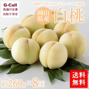 岡山の白桃 260g 8玉 送料無料 産地直送 白桃 モモ もも 桃 くだもの 果物 ピーチ フルーツ 御中元 お中元 晴富 岡山 ギフト 贈答 化粧箱