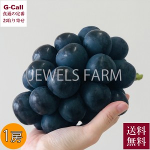 JEWELS FARM ナガノパープル グランサイズ 1房 約550g 送料無料 冷蔵 巨峰 リザマート ぶどう ブドウ 葡萄 うす皮 希少 限定 お取り寄せ 