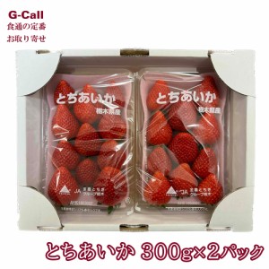 須永いちご農園 栃木県産いちご とちあいか 300g 2パック 北海道・四国/九州・沖縄送料別 いちご 苺 イチゴ 果物 フルーツ 高糖度 栃木県