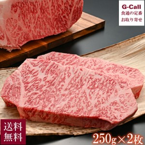 内山肉店 にいがた和牛 雪温貯蔵 シャトーロイン 250g×2枚 送料無料 和牛 牛肉 サーロイン ステーキ 高級肉 お祝い 贈答 ギフト 瞬間冷