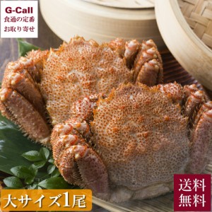 えりも食品 活蒸し毛蟹 大サイズ 1尾 計500g 送料無料 蟹 毛蟹 カニ かに 毛ガニ 脚 剥き身 蟹みそ 蟹味噌 北海道 産地直送 お取り寄せ 