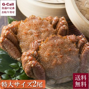 えりも食品 活蒸し毛蟹 特大サイズ 2尾 計1.2kg 送料無料 蟹 毛蟹 カニ かに 毛ガニ 脚 剥き身 蟹みそ 蟹味噌 北海道 産地直送 お取り寄