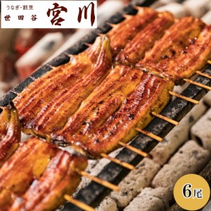 宮川 うなぎ 蒲焼セット 松 6尾 山椒 6袋 蒲焼きのタレ 6本 鰻 国産 うなぎ 冷凍 惣菜 魚介 セット 蒲焼 かば焼き 母の日 御中元 お中元 