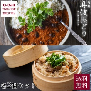 ヤマモト 地鶏丹波黒どり まぜご飯の素 2個 キーマカリー 2個 送料無料 山陰 京都 兵庫 地鶏 丹波 黒どり 鶏肉 鳥肉 とり肉 まぜご飯 惣