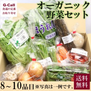 オーガニック野菜のセット 8〜10品目 送料無料 健康 旬 詰合せ 冷蔵 有機 無農薬 ギフト