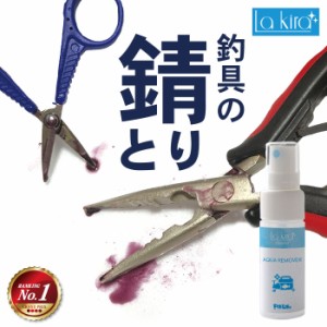 釣具 錆取り スプレー AQUA REMOVER メンテナンス 30ml | 釣り フックの錆落とし クリーナー 釣り針 プライヤー サビ取り 錆びとり さび